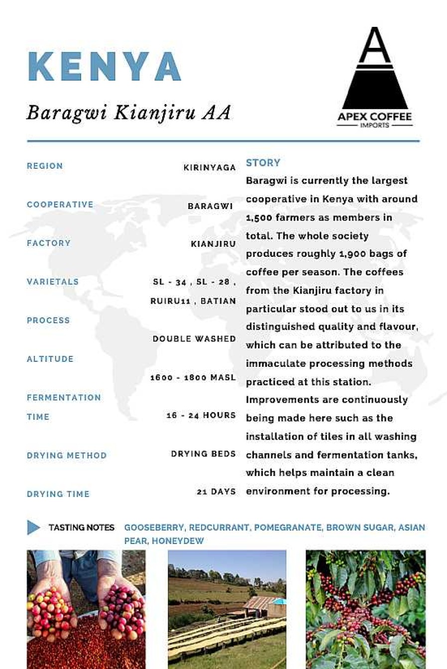 Coffee & Tea Apex Coffee Imports | Green Coffee - Baragwi Kianjiru Aa: Double Washed, Kenya