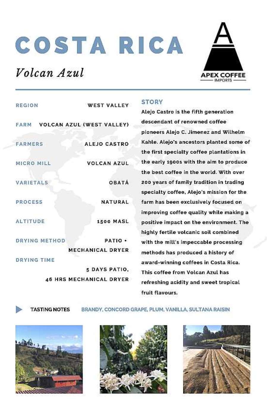 Coffee & Tea Apex Coffee Import | Green Coffee - Volcan Azul Obata, Costa Rica